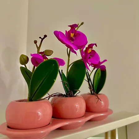 Elegance